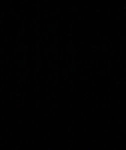 Meet your Posher, Arely